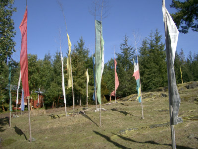 IMGP1346